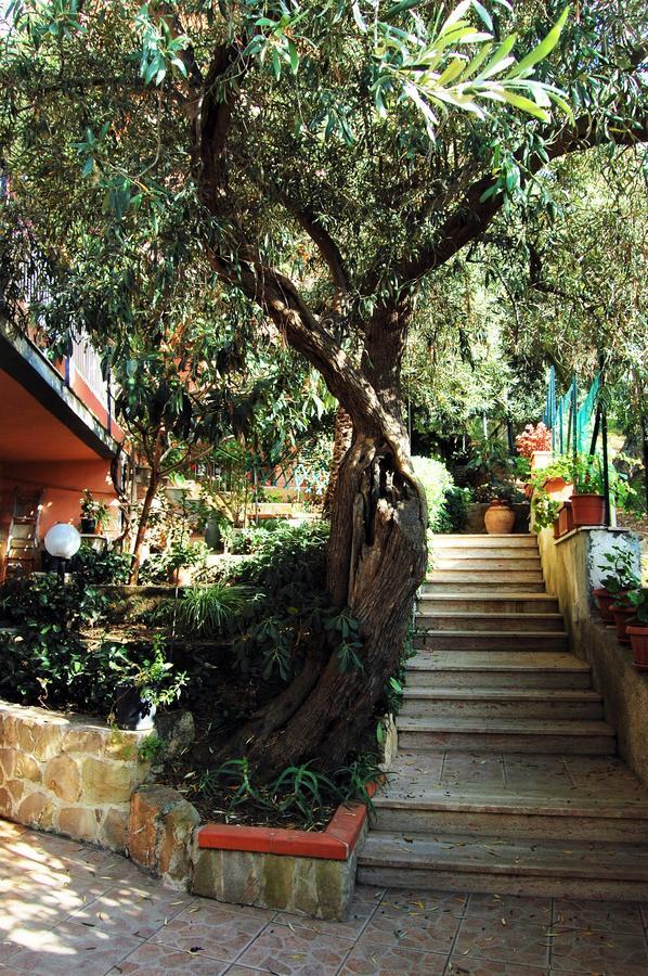 Delle Rose Bed & Breakfast Cefalù Exterior foto
