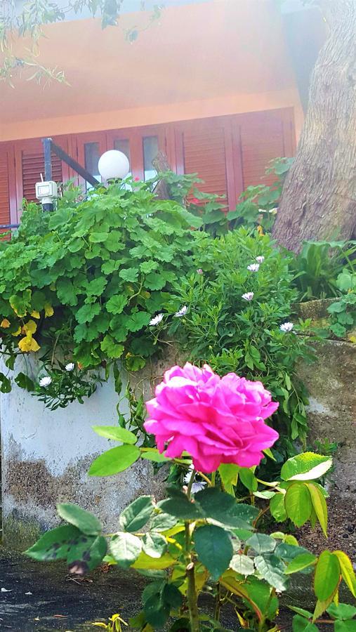 Delle Rose Bed & Breakfast Cefalù Exterior foto